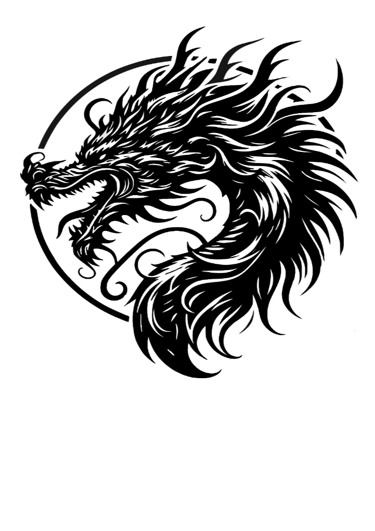 Dragpn T Shirt
